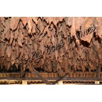 Arôme Flue Cured T