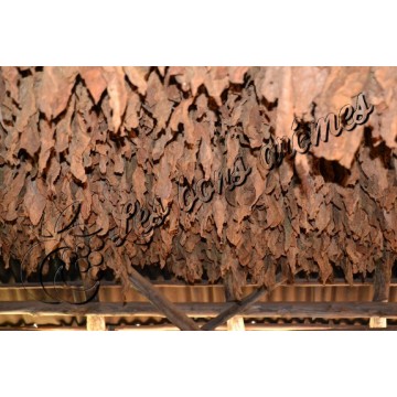 Arôme Flue Cured T