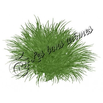 Arôme Citronnelle