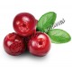 Arôme Cranberry