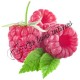 Arôme Framboise