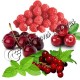Arôme Fruits Rouges Menthe