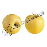 Arôme Pomme Anton