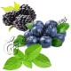 Arôme Fruits Noirs Menthe