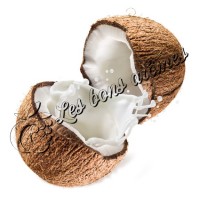 Arôme Cocopilada