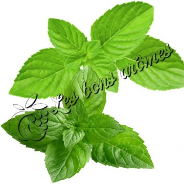 Arôme Double Menthe