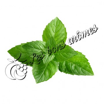 Arôme Menthe