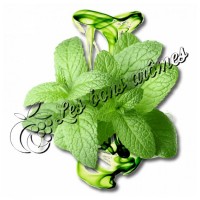 Arôme Fresh Puff