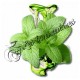 Arôme Fresh Puff
