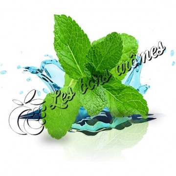 Arôme Menthol