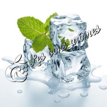 Arôme Menthol WG