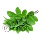 Arôme Tabac Menthe Poivree