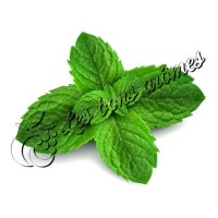 Arôme Menthe Verte