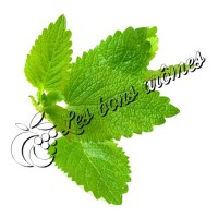 Arôme Menthe WG