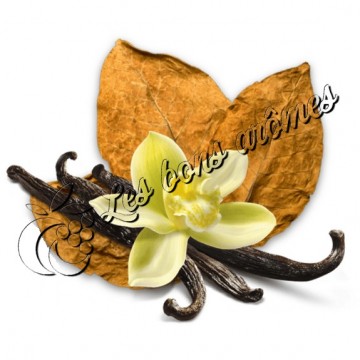 Arôme Tabac Pipe Vanille